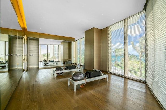 workout area with expansive windows and hardwood / wood-style flooring