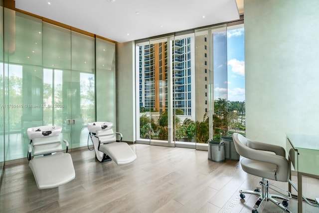 interior space featuring wood finished floors and expansive windows