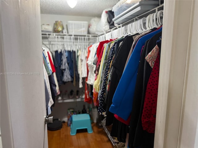 walk in closet featuring wood finished floors