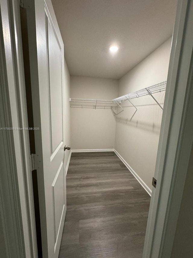 spacious closet featuring dark wood-style floors