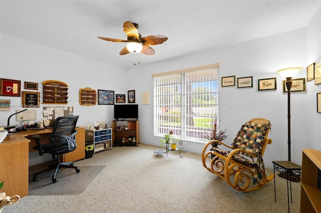 office space featuring ceiling fan and carpet