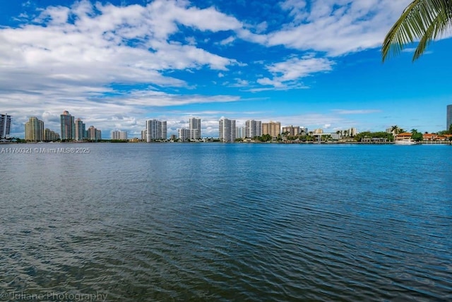 water view with a view of city