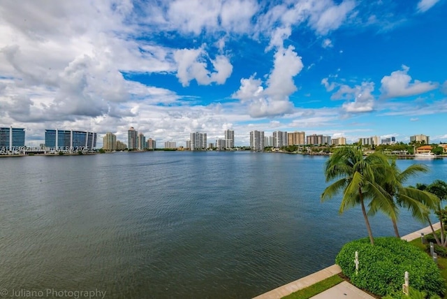 view of water feature with a city view