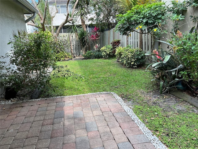 view of yard with a patio area and fence