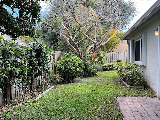 view of yard with a fenced backyard