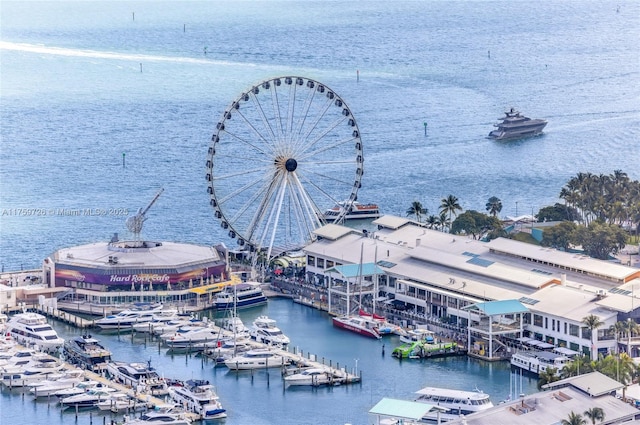 bird's eye view with a water view