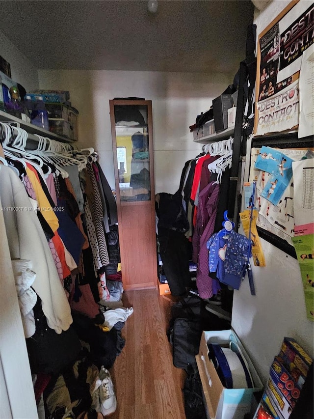 walk in closet featuring wood finished floors