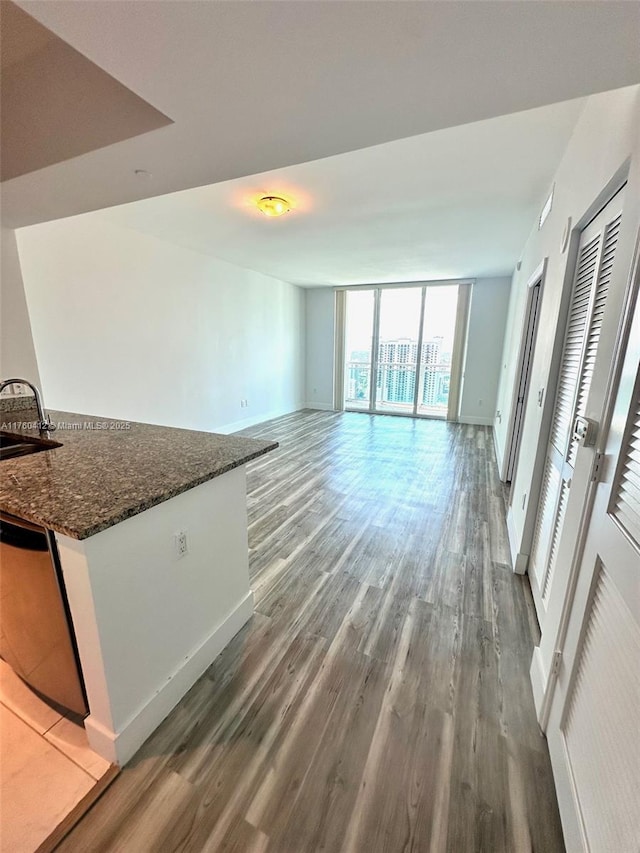 unfurnished living room featuring a sink, a wall of windows, baseboards, and wood finished floors