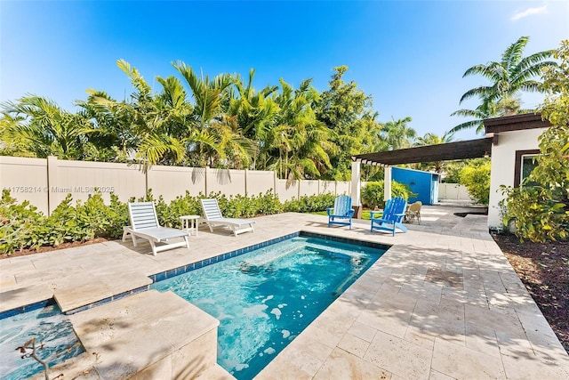 1134 Van Buren St, Hollywood, FL 33019 - view of pool with a patio area, a fenced in pool, and a fenced backyard