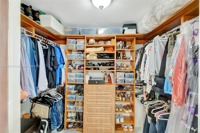 view of spacious closet