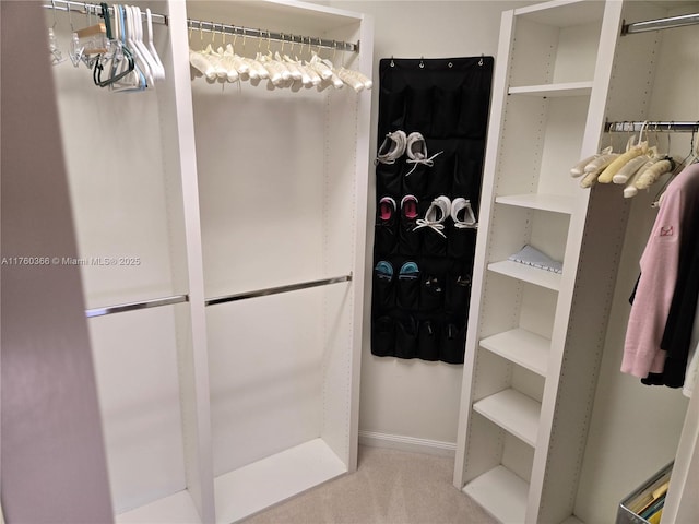 view of walk in closet