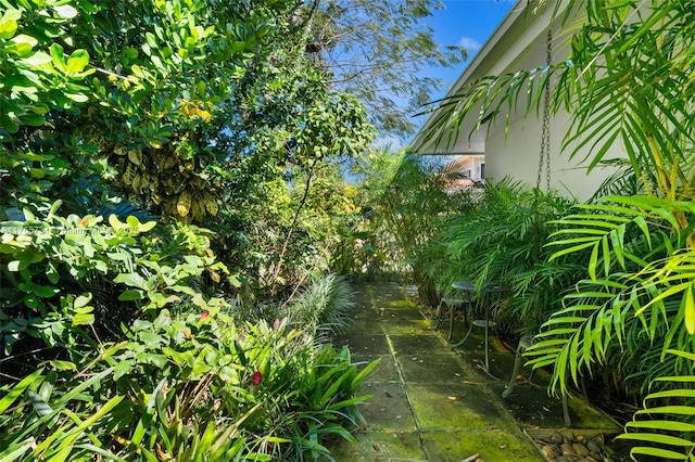 view of yard featuring a patio area