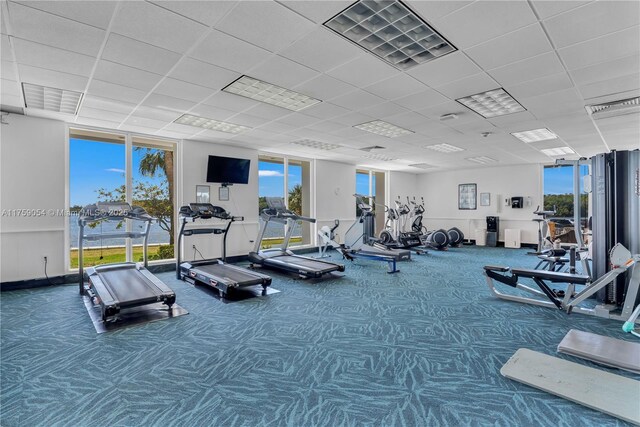 gym featuring carpet floors, healthy amount of natural light, and a drop ceiling