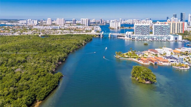 drone / aerial view of a view of skyline, a nearby body of water, and a notable bridge