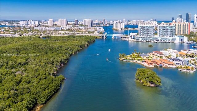 bird's eye view featuring a city view and a water view