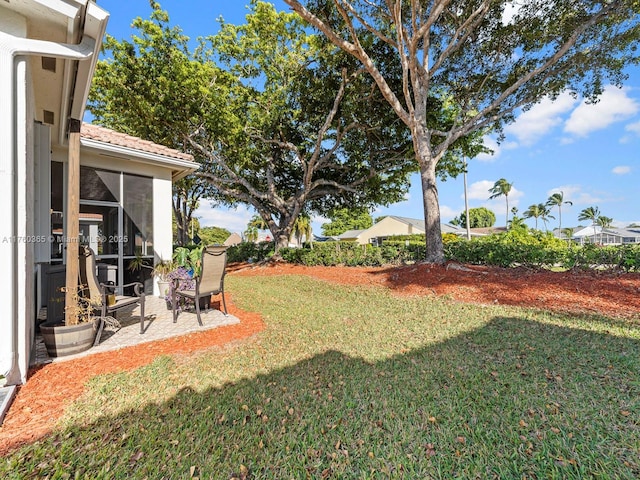 view of yard featuring a patio area