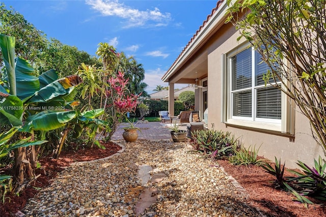 view of yard with a patio area and fence