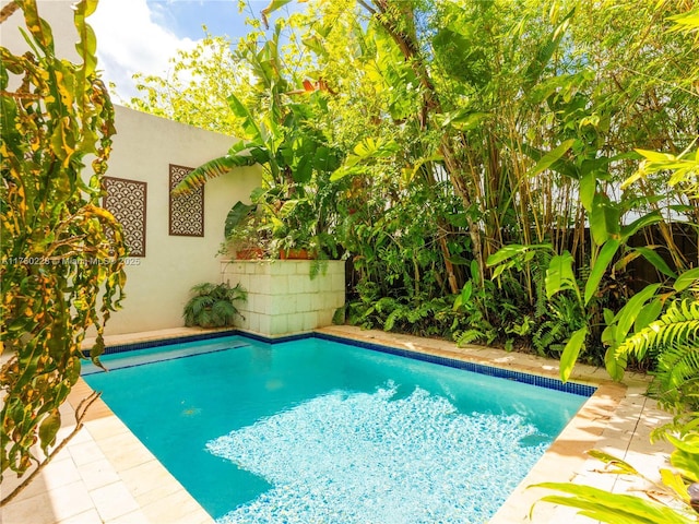 pool with a patio and a fenced backyard