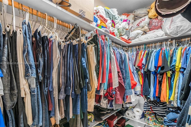 view of spacious closet