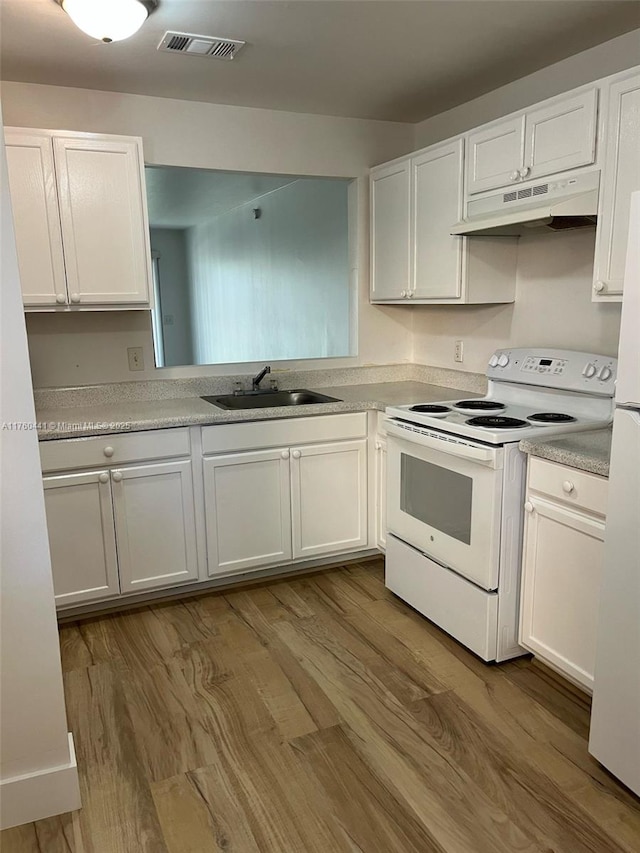 kitchen featuring electric range, wood finished floors, under cabinet range hood, and a sink