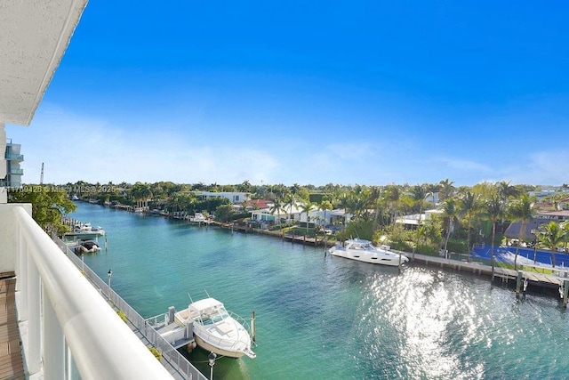 water view featuring a dock