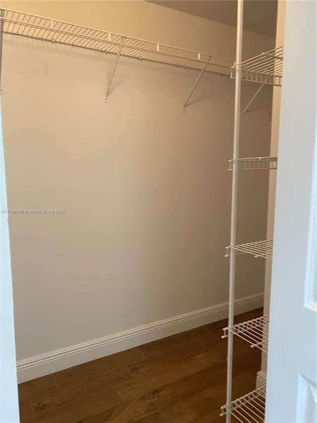 walk in closet featuring wood finished floors