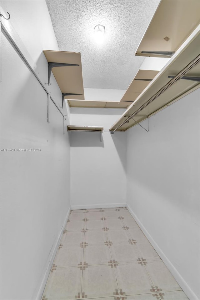 spacious closet with light floors