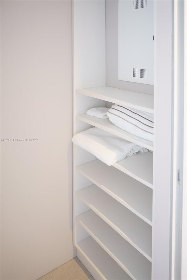 view of closet