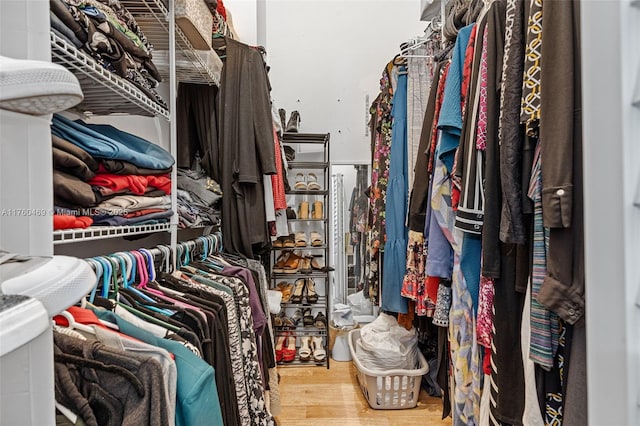 spacious closet featuring wood finished floors