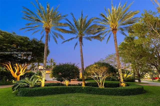 1117 Bella Vista Ave, Coral Gables, FL 33156 - view of property's community featuring a lawn