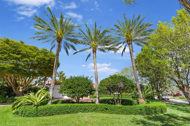 1117 Bella Vista Ave, Coral Gables, FL 33156 - view of community