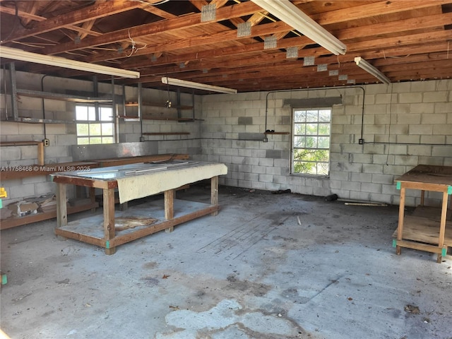 basement with a healthy amount of sunlight