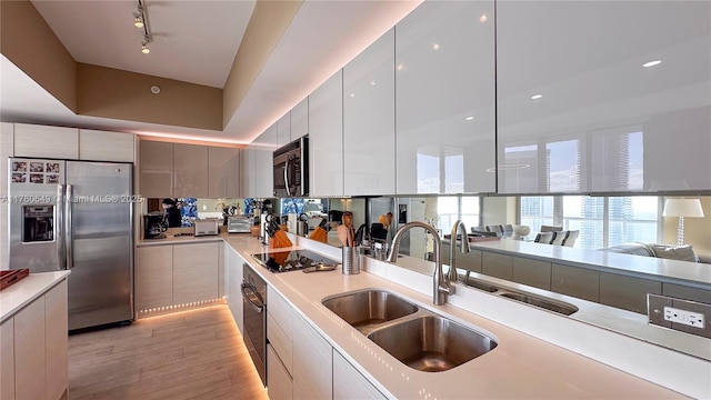 kitchen with light wood finished floors, light countertops, stainless steel appliances, modern cabinets, and a sink