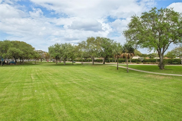 view of home's community with a yard