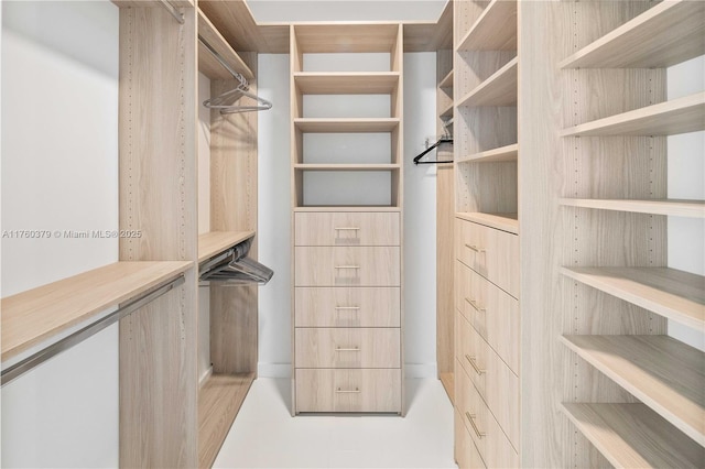 view of walk in closet