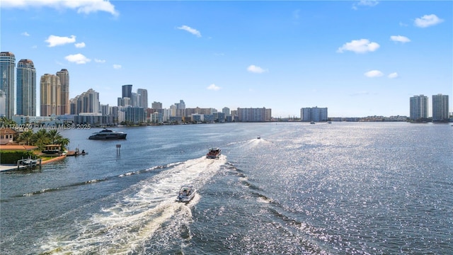 water view featuring a view of city