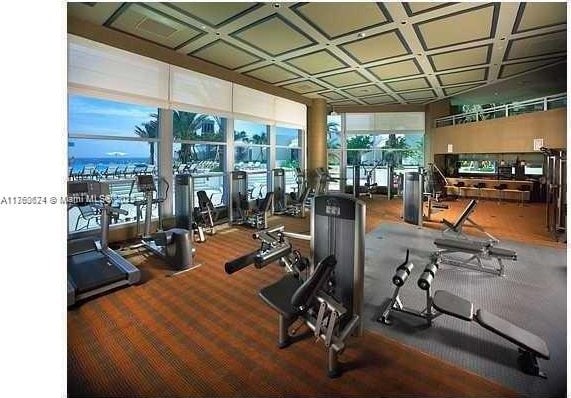 exercise room featuring expansive windows and carpet flooring