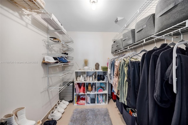 view of spacious closet