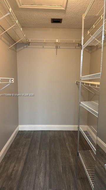 spacious closet with wood finished floors