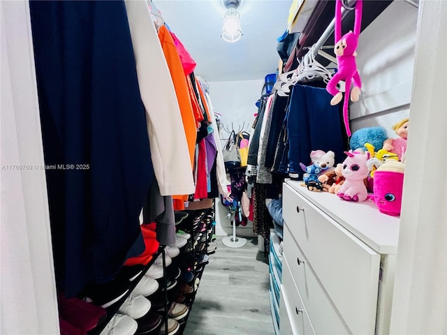 spacious closet with light wood-type flooring