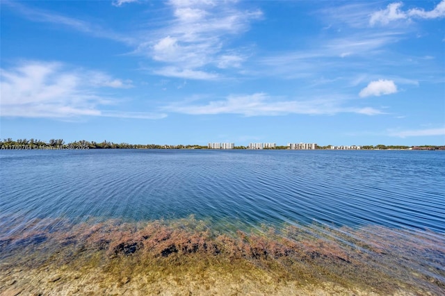 117 Lake Emerald Dr Unit 408, Oakland Park, FL 33309 - water view