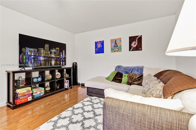 living area featuring wood finished floors