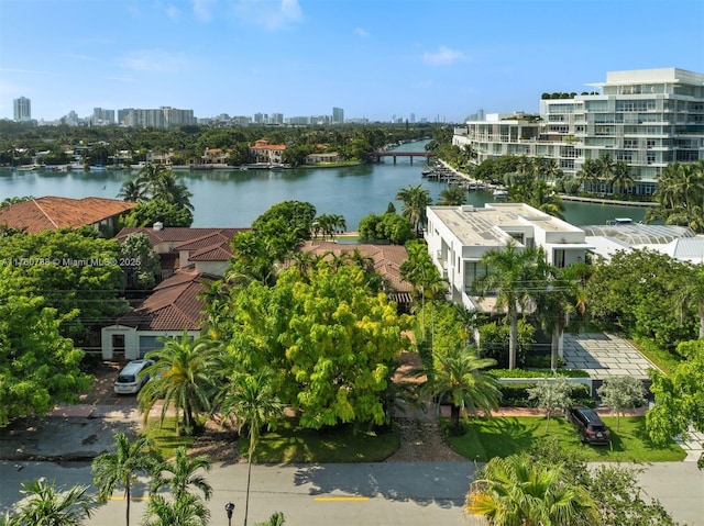 drone / aerial view featuring a city view and a water view