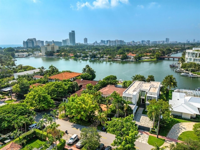 aerial view featuring a city view and a water view