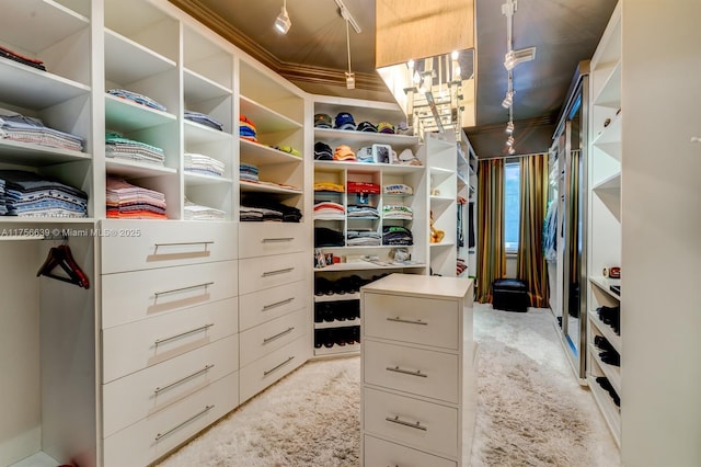 walk in closet featuring light carpet