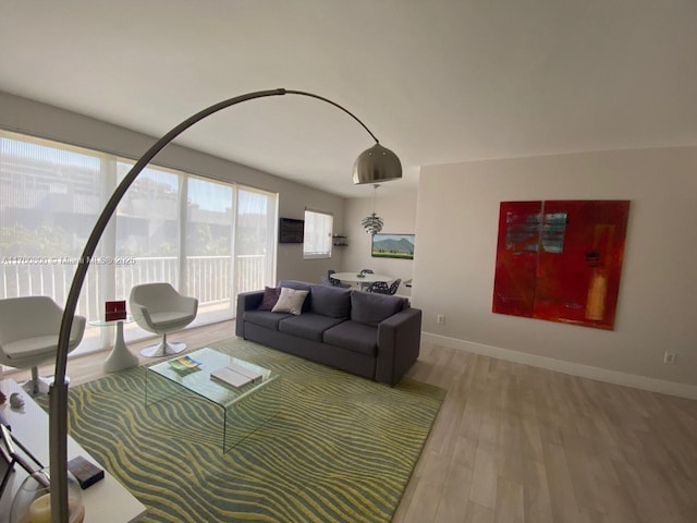 living room featuring baseboards and wood finished floors