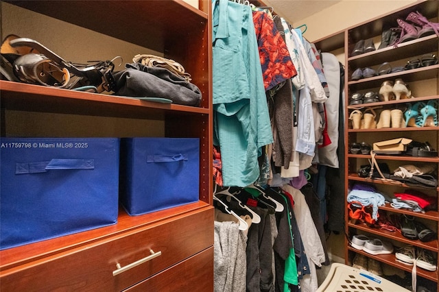 view of walk in closet