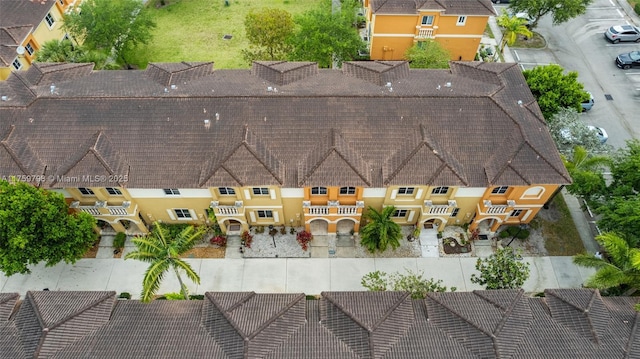 bird's eye view