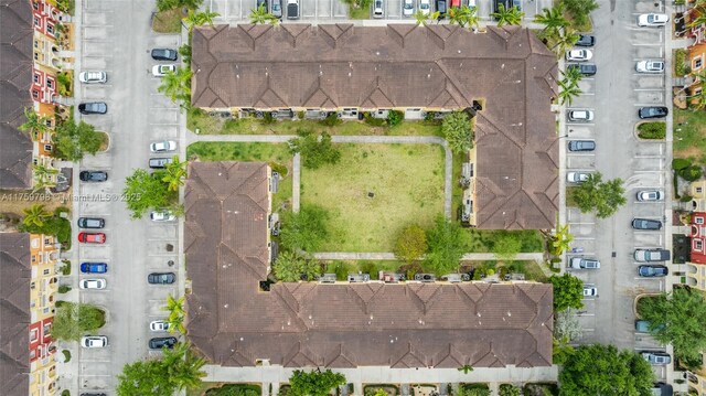 bird's eye view