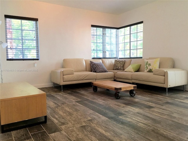 living room featuring dark wood-style floors